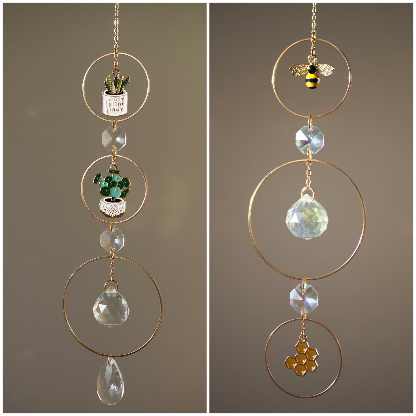 Méhecske-méz / Szoba növény medálos Napfogó- Suncatchers